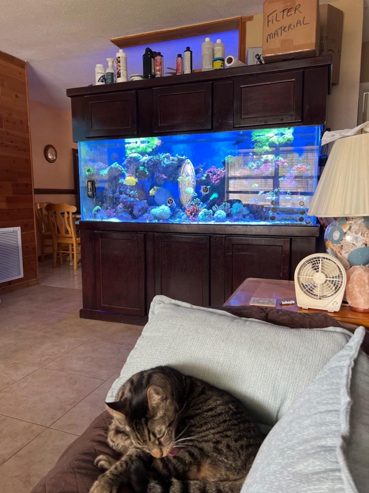 REEF SALT - Customer Photo From Steve L.