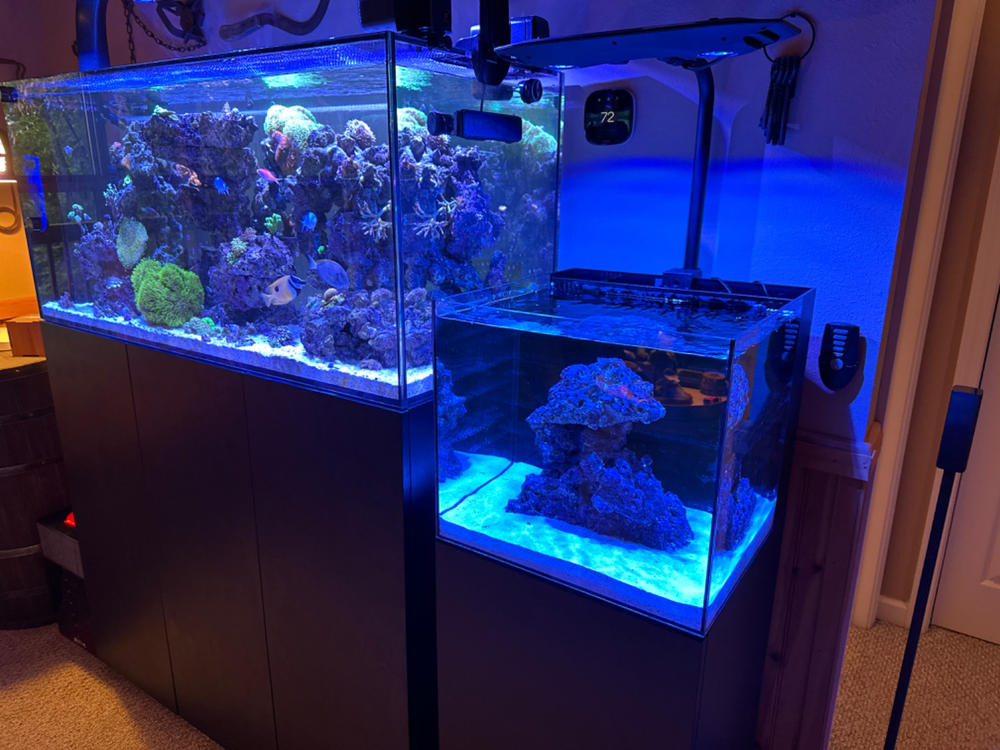 AQUAVIE Kit Cube 20 aquarium équipé 18 L complet pour poissons d