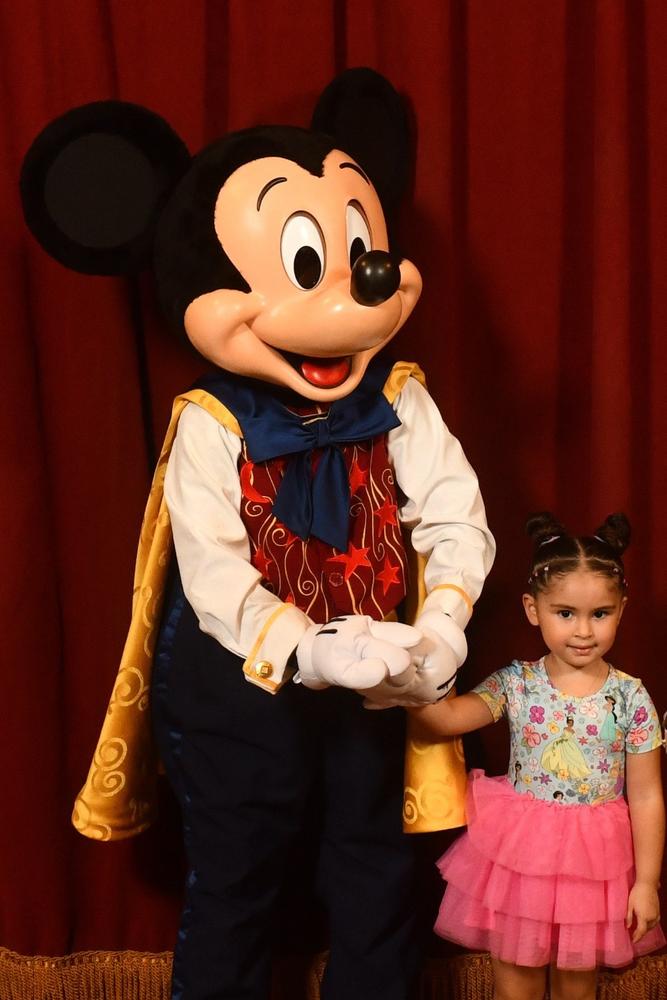 Disney Princess Short Sleeve Tulle Dress - Customer Photo From Jasmine Sosa