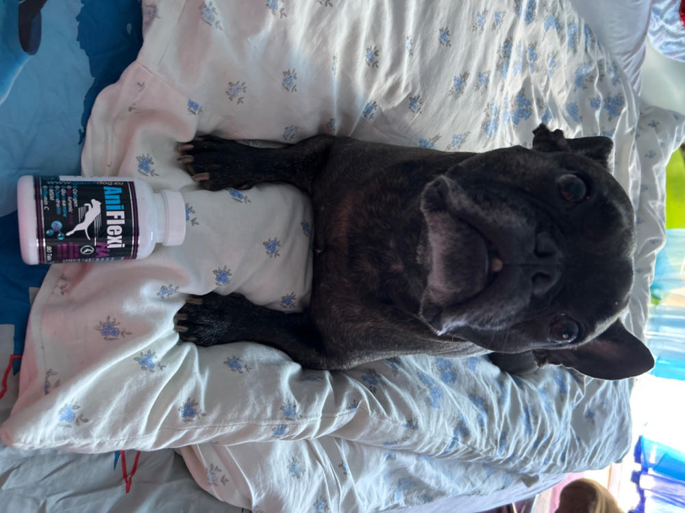 Aniflexi HA tabletta, csúcs ízületvédő, porcerősítő kutyáknak - Customer Photo From Kecskésné csapó Krisztina