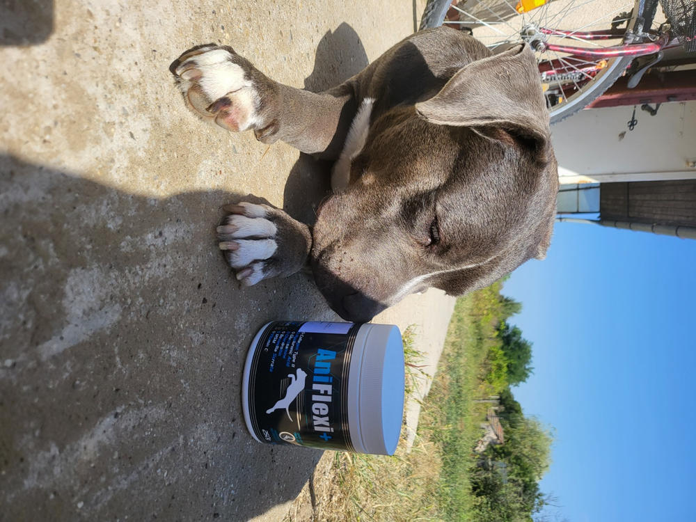 Aniflexi + csúcs ízületvédő, porcerősítő kutyáknak 250g - Customer Photo From Dorina Blanka Szállás