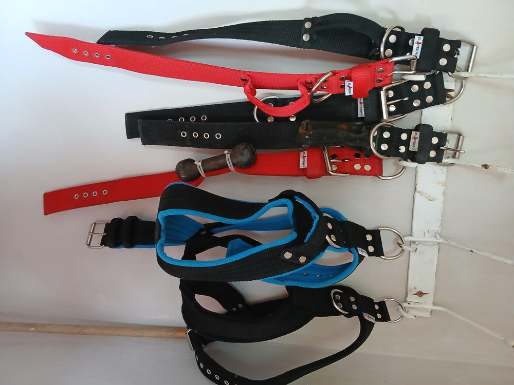 Erős fogós nyakörv, El Perro, 5 cm széles - Customer Photo From Morár Zsolt 