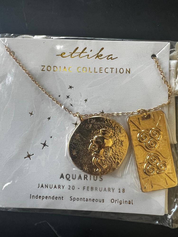 Zodiac Double Medallion 18k Gold Plated Necklace – Ettika