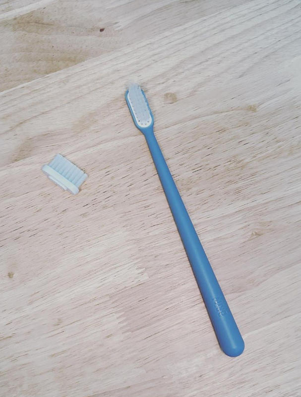 Original SeaDifferently Eco Friendly Replaceable Head Toothbrush - Customer Photo From Vivian