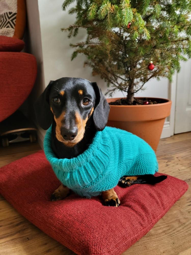 Cableknit Jumper (leg slits) by Canine & Co - Customer Photo From Kat R.