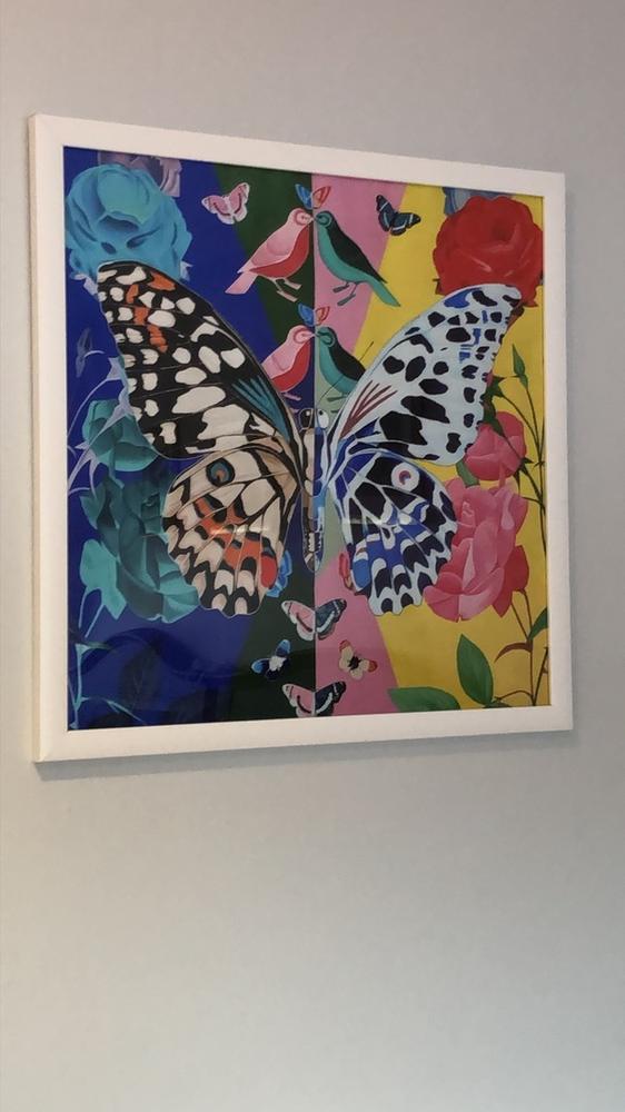 Butterfly Framed Print - Customer Photo From Jessica D.