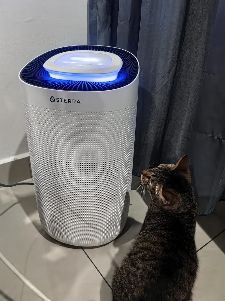 Sterra Breeze™ Air Purifier - Customer Photo From Xin Yin Wong