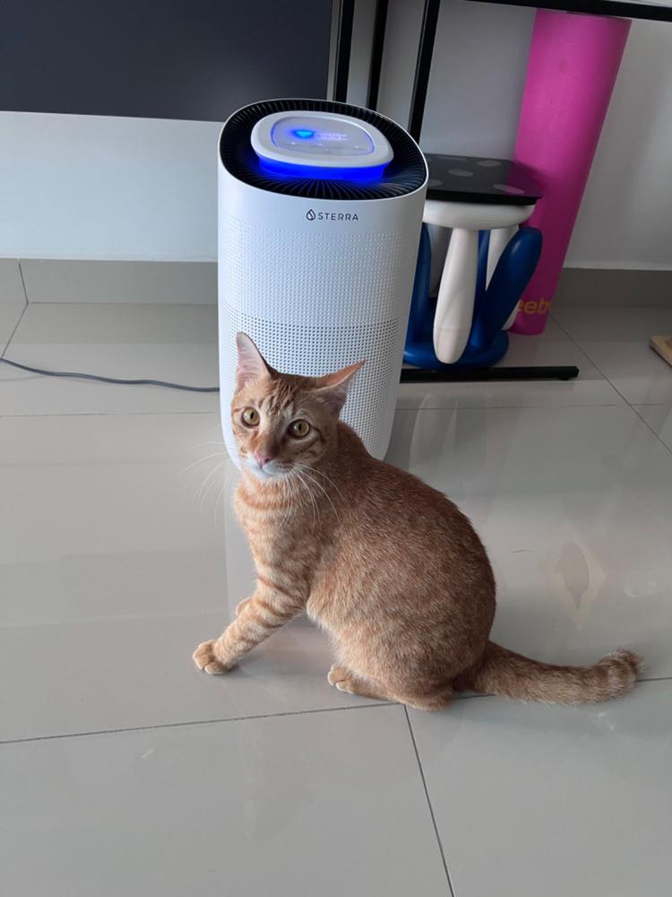 Sterra Breeze™ 2-Year True HEPA Filter (3-in-1) - Customer Photo From NOOR SYAKIRAH Alias