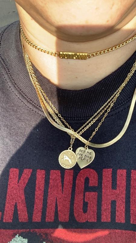 Go Ahead and Tell Em Necklace: Brass - Customer Photo From Neda Levi