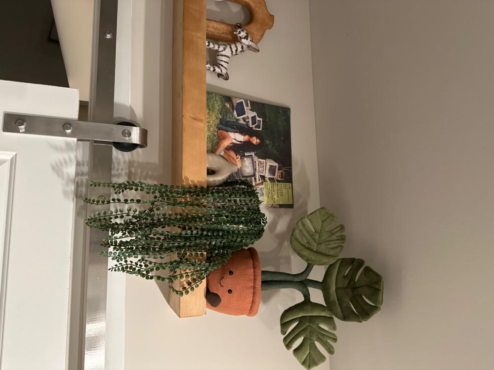 Amuseable Monstera Plant - Customer Photo From Bryce Copping