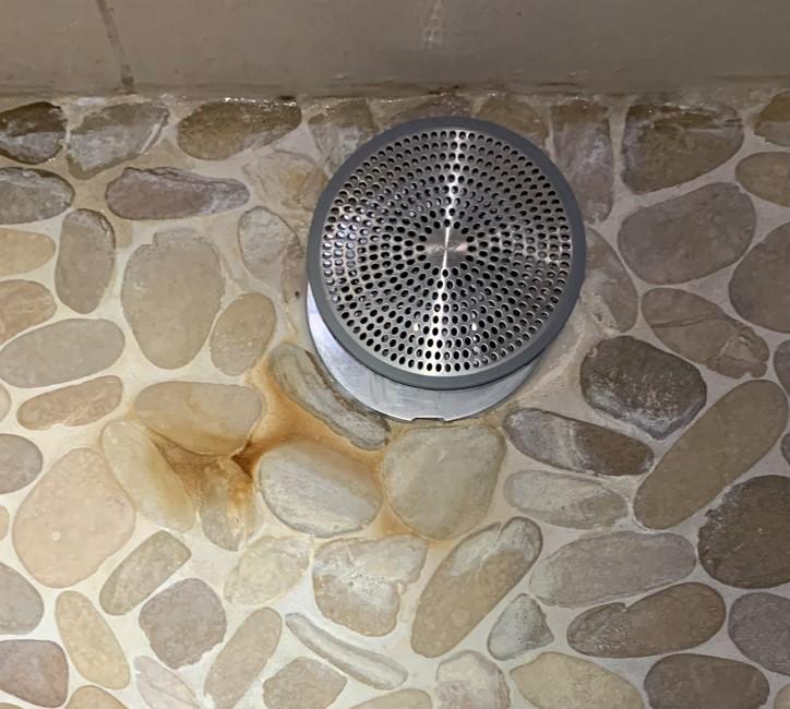 Iris Hantverk Bath Brush with Long Handle, Oak Wood, Horse Hair and Tampico Fiber - Customer Photo From brian