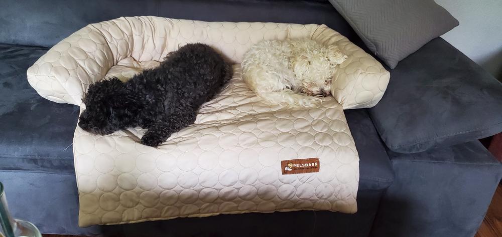 Pelsbarn kühlendes Sofabett (4-mal effektiver) - Customer Photo From Petra