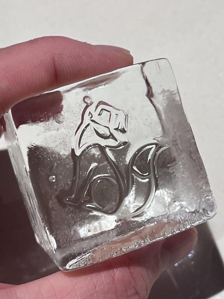 Deluxe Ice Stamp - Customer Photo From Christopher Jones