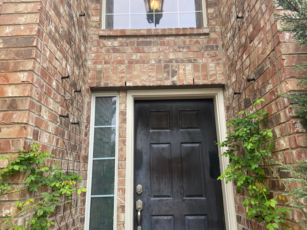 Lattice Wall Trellis - Customer Photo From These are awesome 