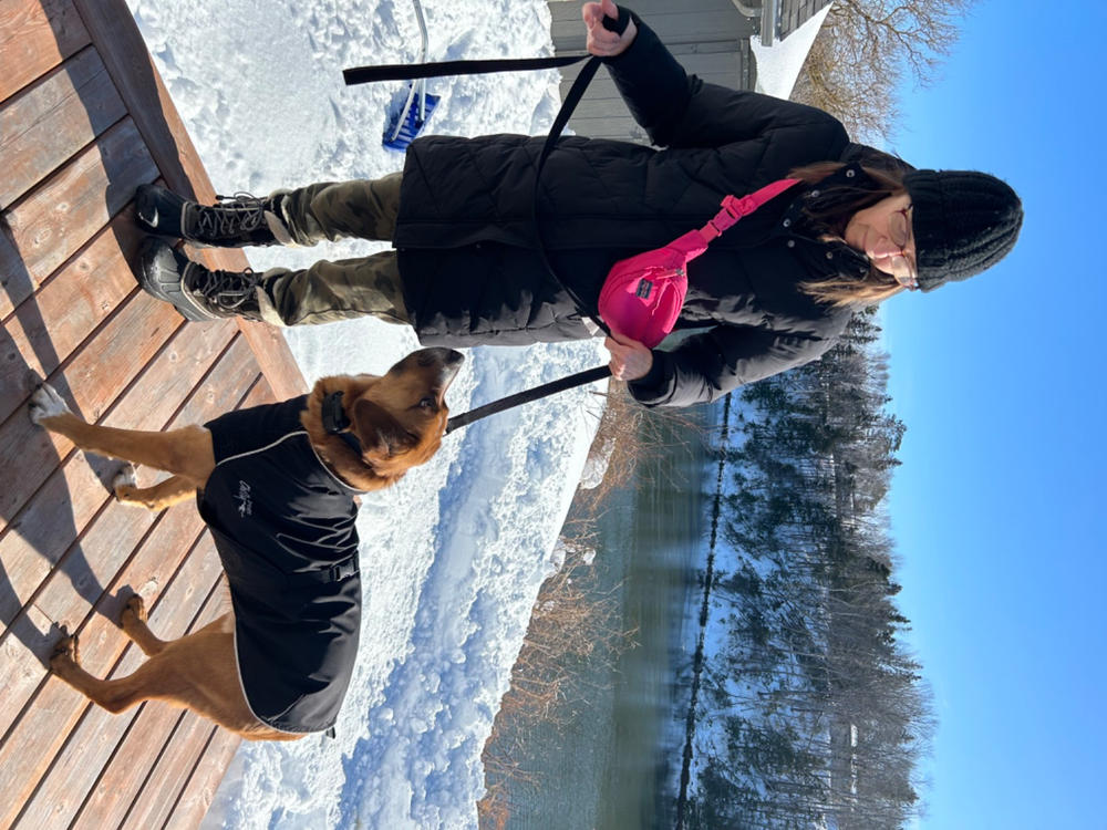 Harbour Slicker Dog Rain Coat - Customer Photo From Donna Wilson