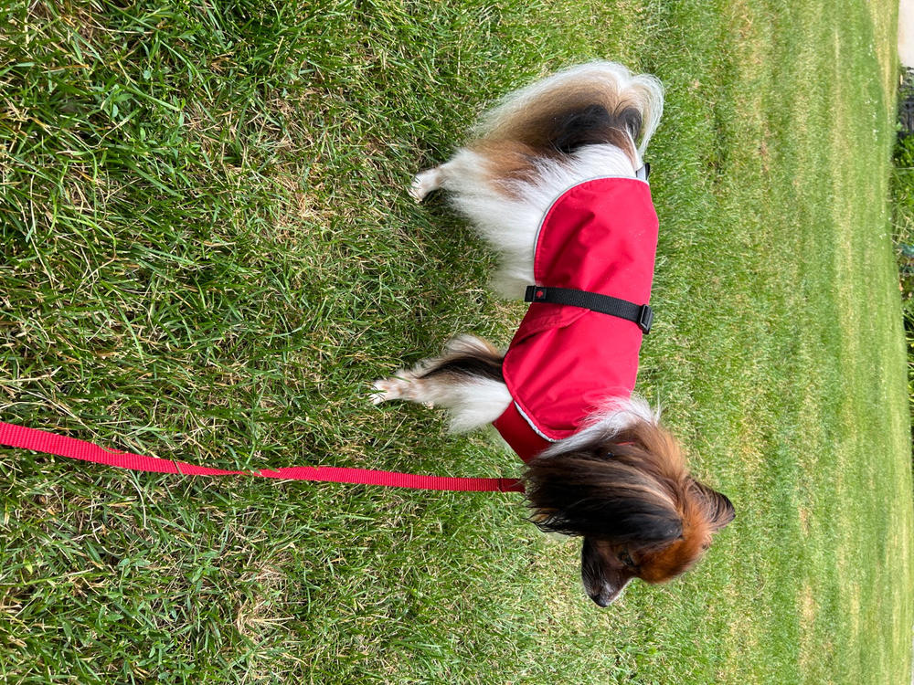 Harbour Slicker Dog Rain Coat - Customer Photo From Maria Vassina