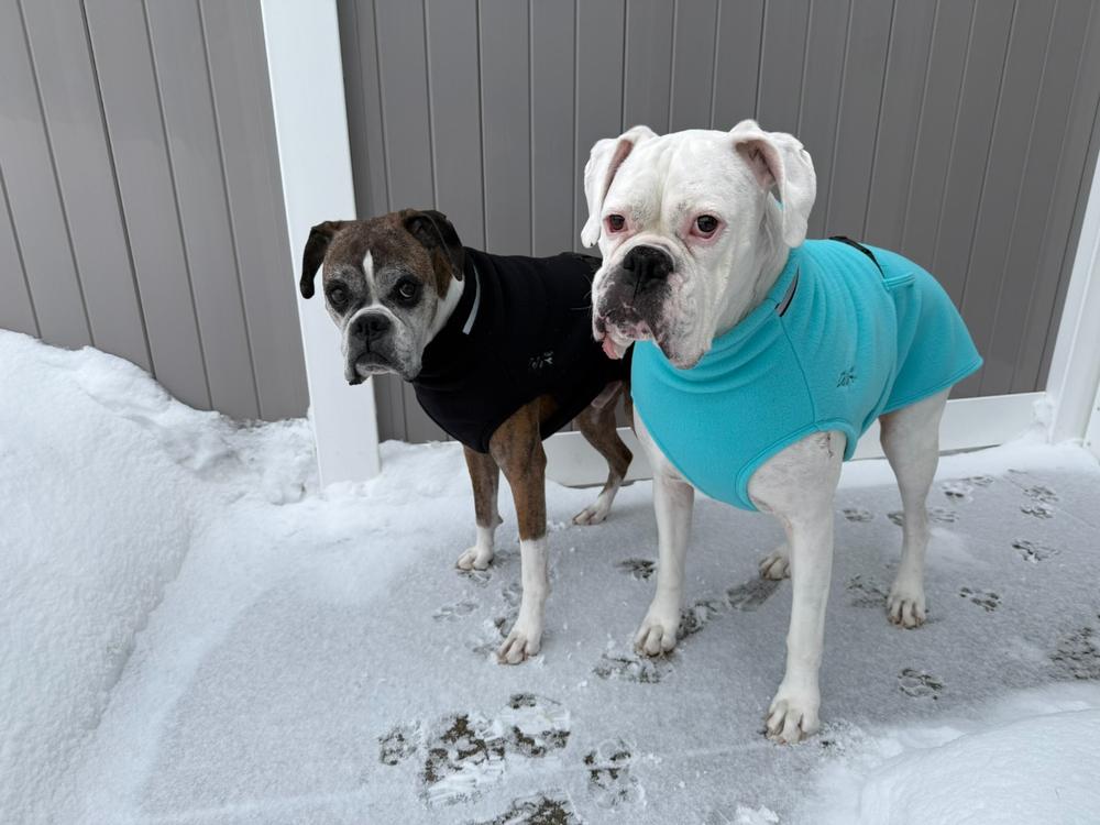 Chilly Dogs Fleece Sweater - Customer Photo From Jennylynn Fields