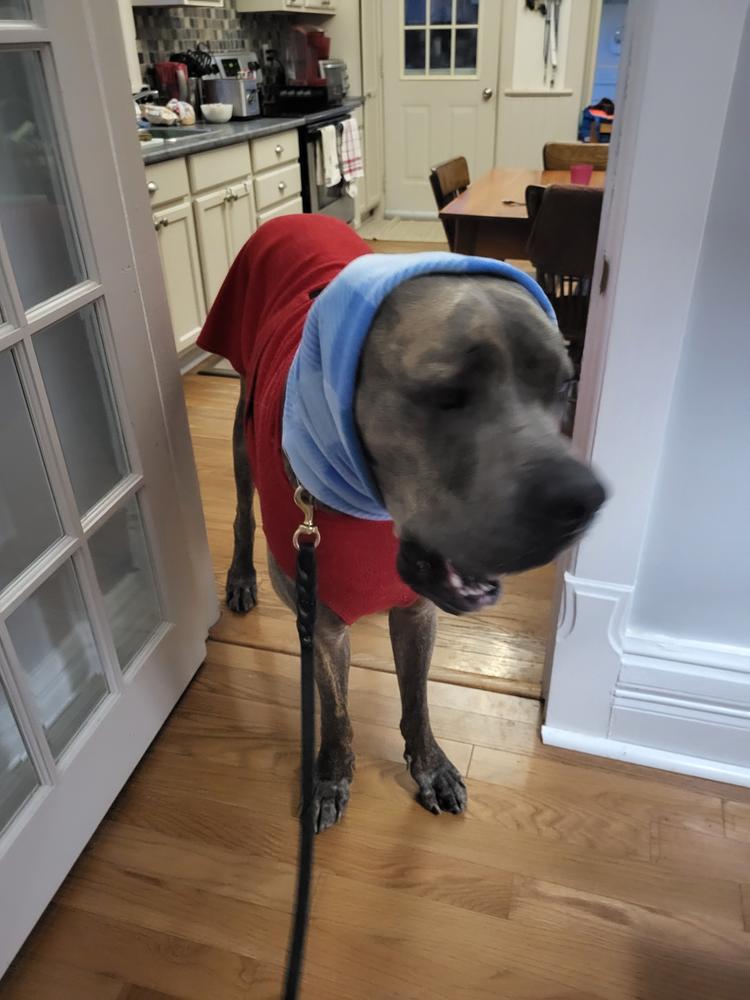 Chilly Dogs Fleece Sweater - Customer Photo From Katjia