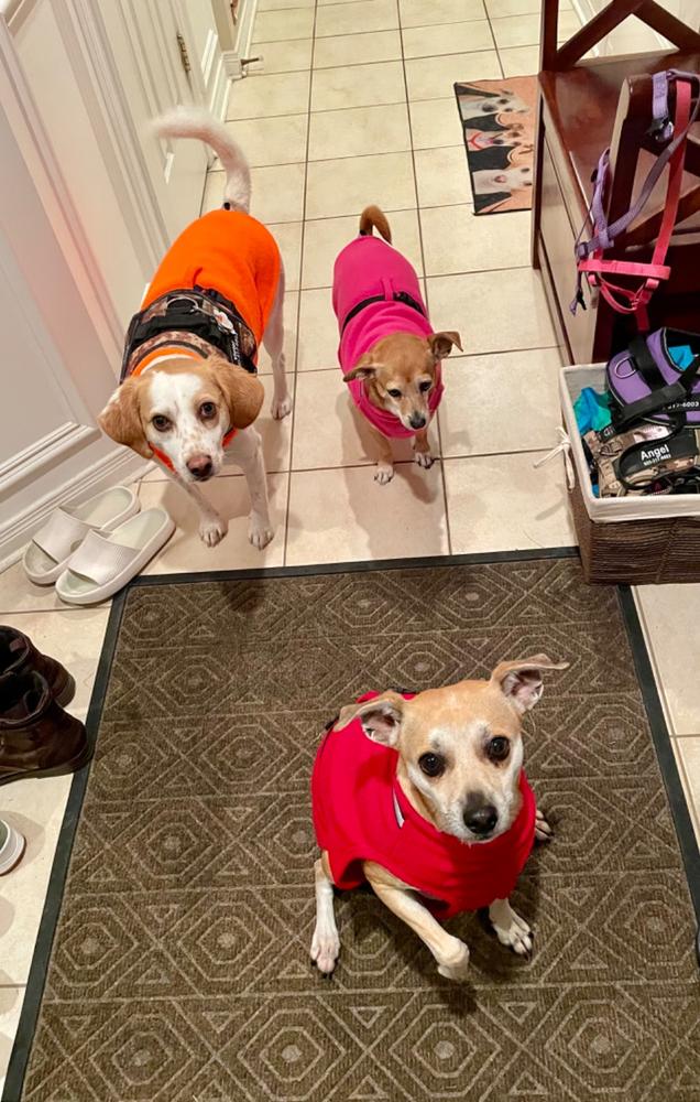 Chilly Dogs Fleece Sweater - Customer Photo From Nancy Burton