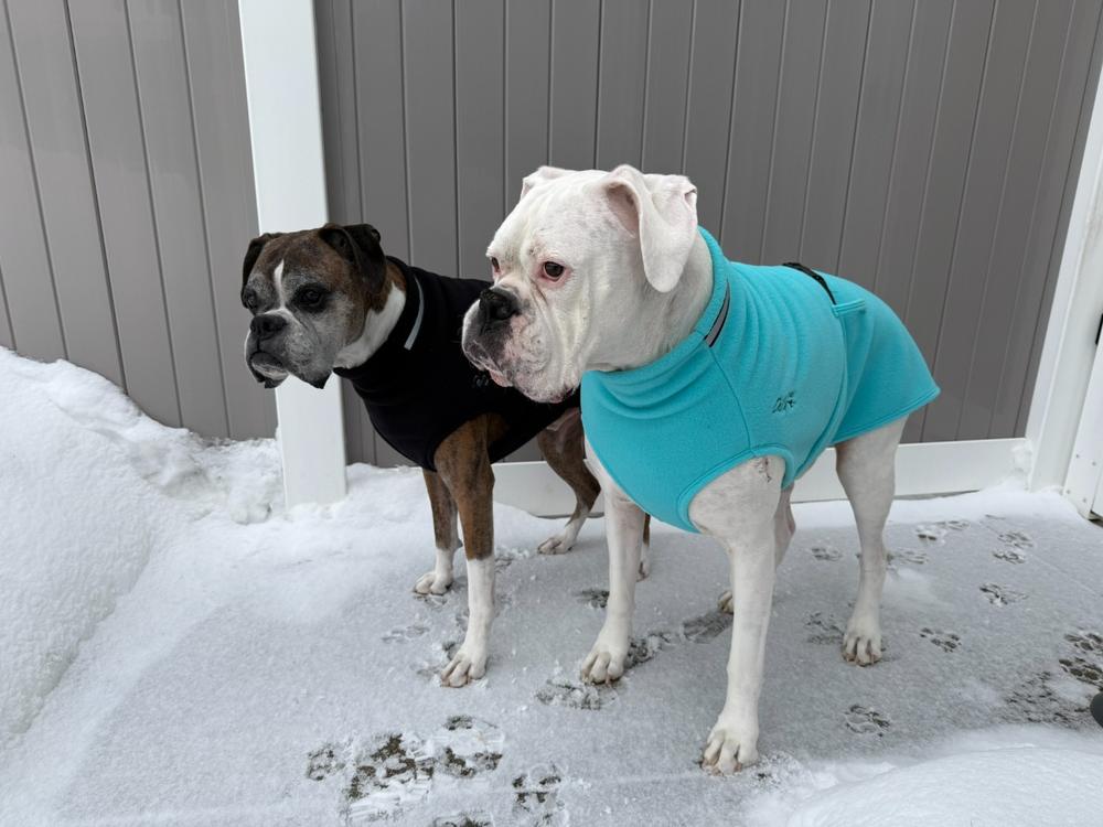 Chilly Dogs Fleece Sweater - Customer Photo From Jennylynn Fields