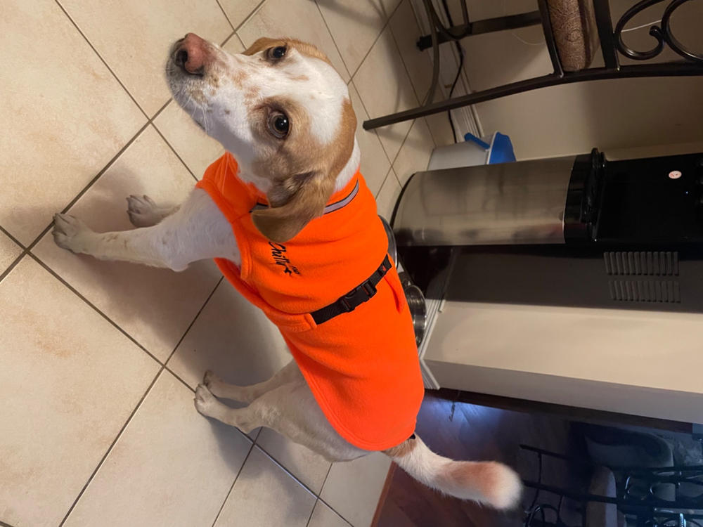 Chilly Dogs Fleece Sweater - Customer Photo From Nancy Burton