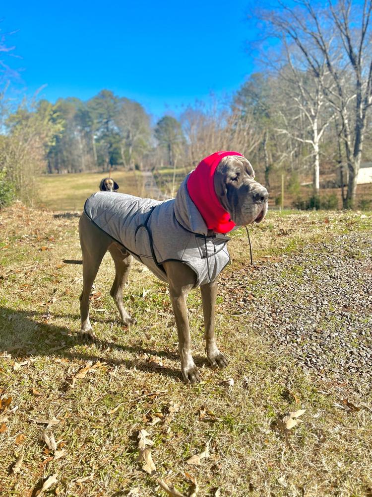 Head Muff Dog Ear Warmer - Customer Photo From CHAD HOUSER