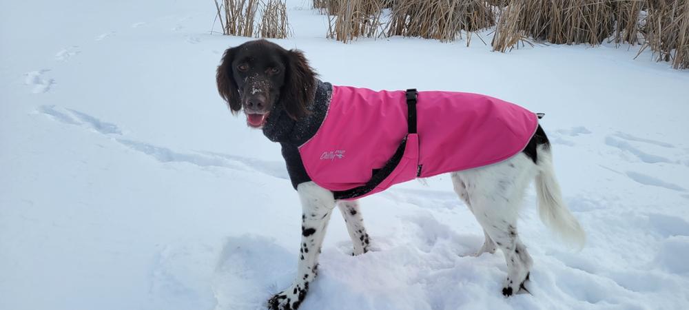 Great White North Winter Dog Coat, Standard and Long & Lean Sizes - Customer Photo From susan catto