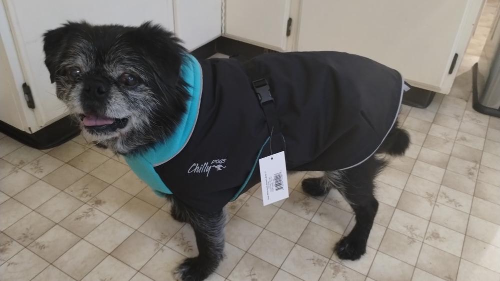 Great White North Winter Dog Coat, Standard and Long & Lean Sizes - Customer Photo From Leslie Nowazek 