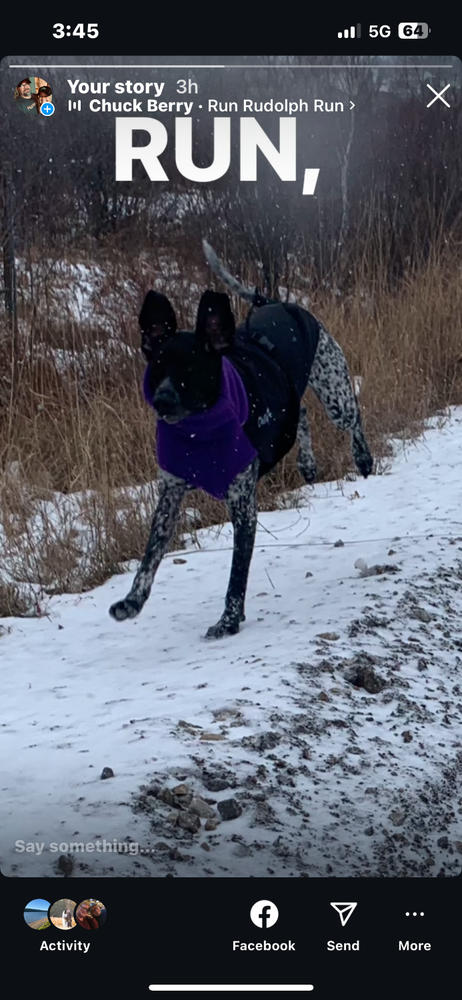 Great White North Winter Dog Coat, Standard and Long & Lean Sizes - Customer Photo From rob harris