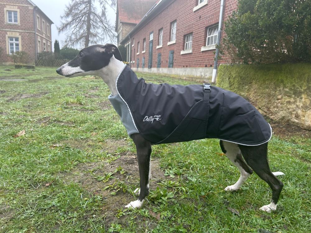 Alpine Blazer 3-Season Dog Coat - Customer Photo From Anonymous