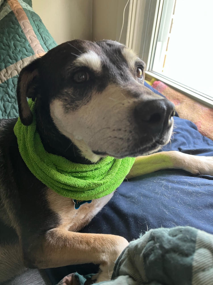 Soaker Bandana - Customer Photo From Anonymous