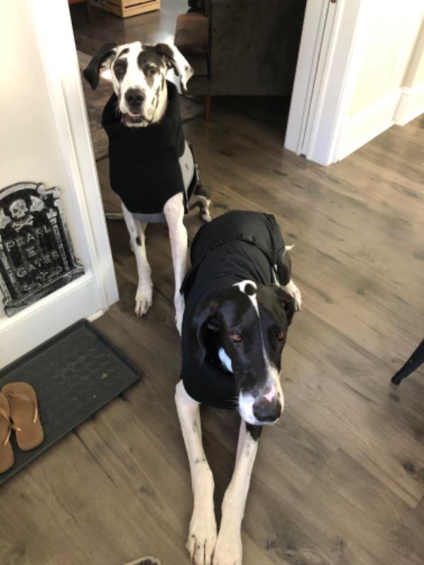 Sizing Consultation - Customer Photo From Alison Boober