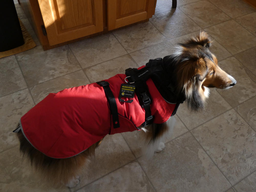 Perfect Fit Harness - 20mm - GIRTH - Customer Photo From Anonymous