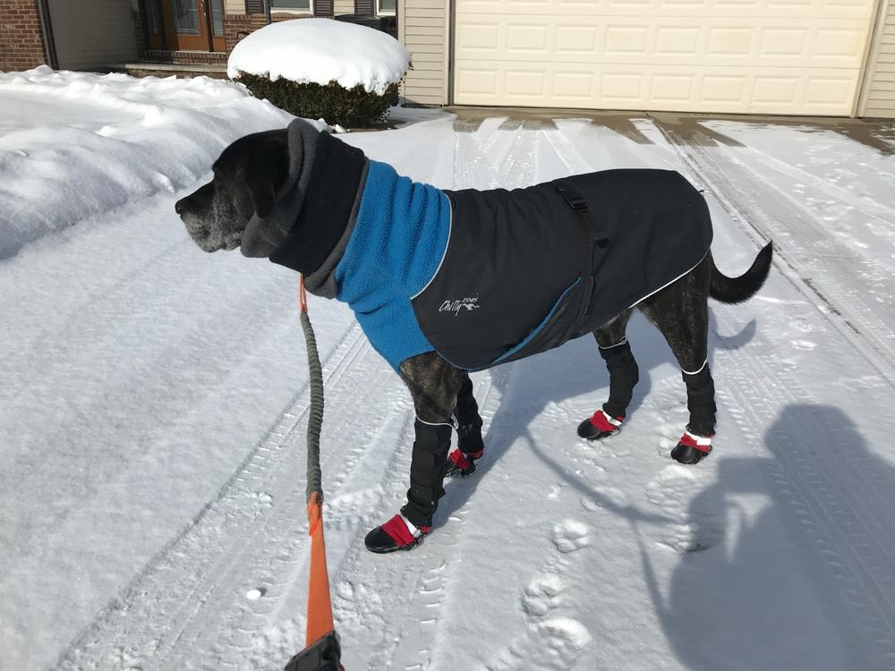 Original Fleece Lined Muttluks Dog Boots DELUXE - Customer Photo From Anonymous