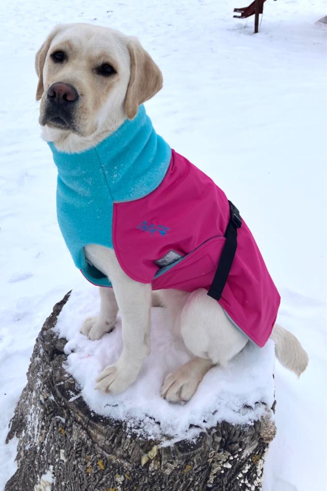 Chilly dogs great white north cheap winter coat