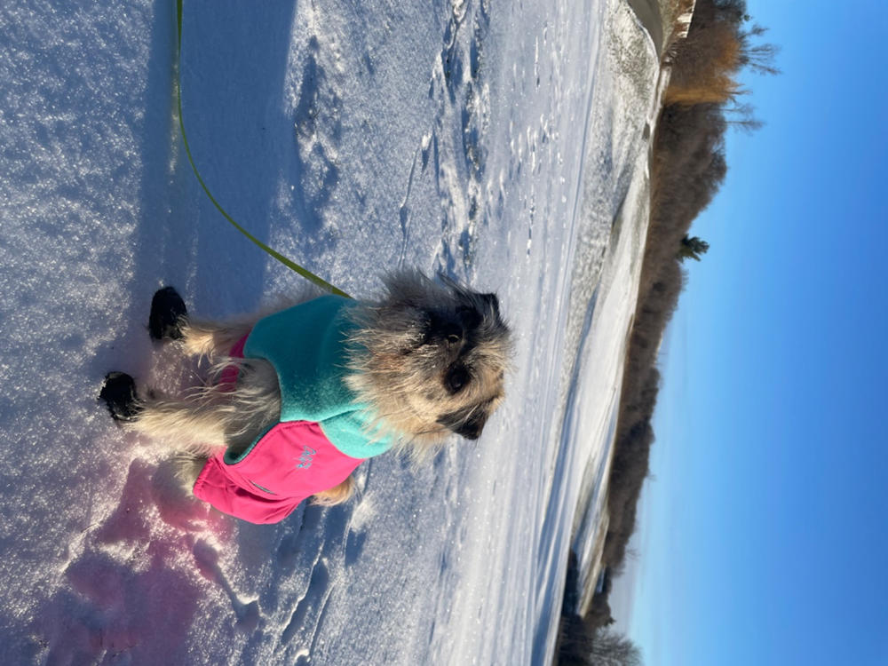 Great White North Special Edition - Candy Floss - Customer Photo From Natasha Burnett