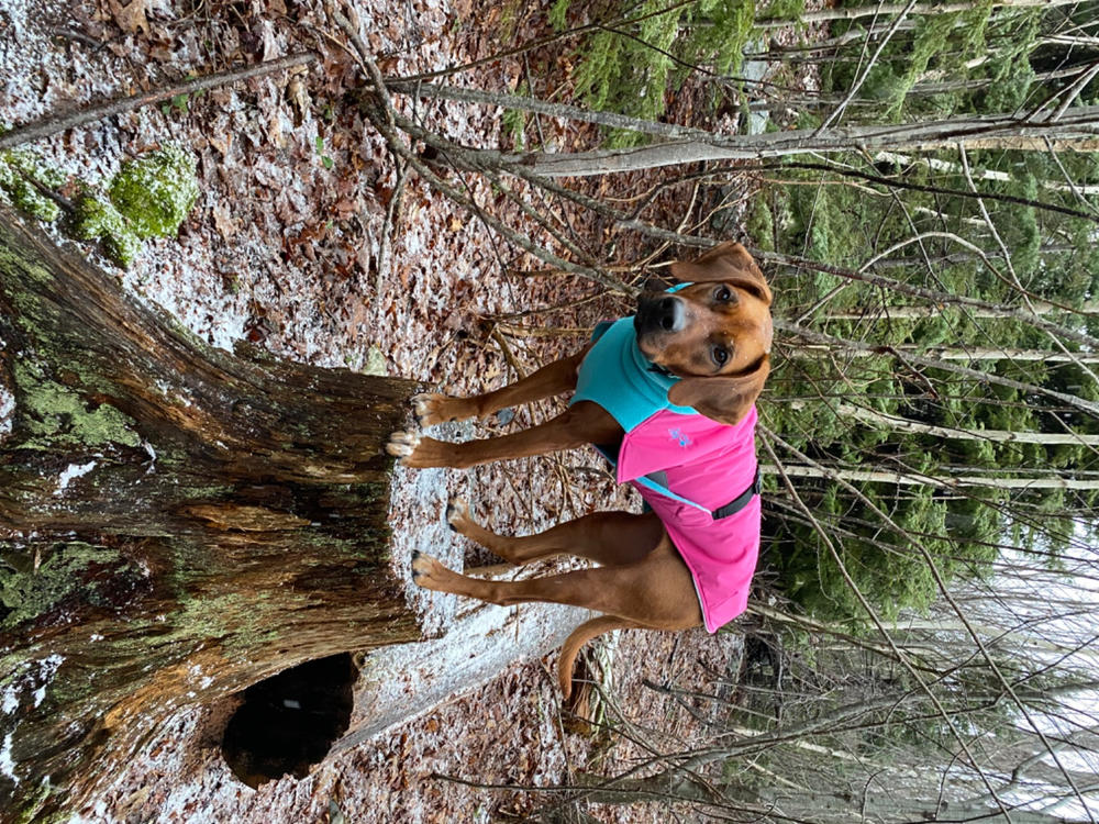 Great White North Special Edition - Candy Floss - Customer Photo From Jennifer Haimes