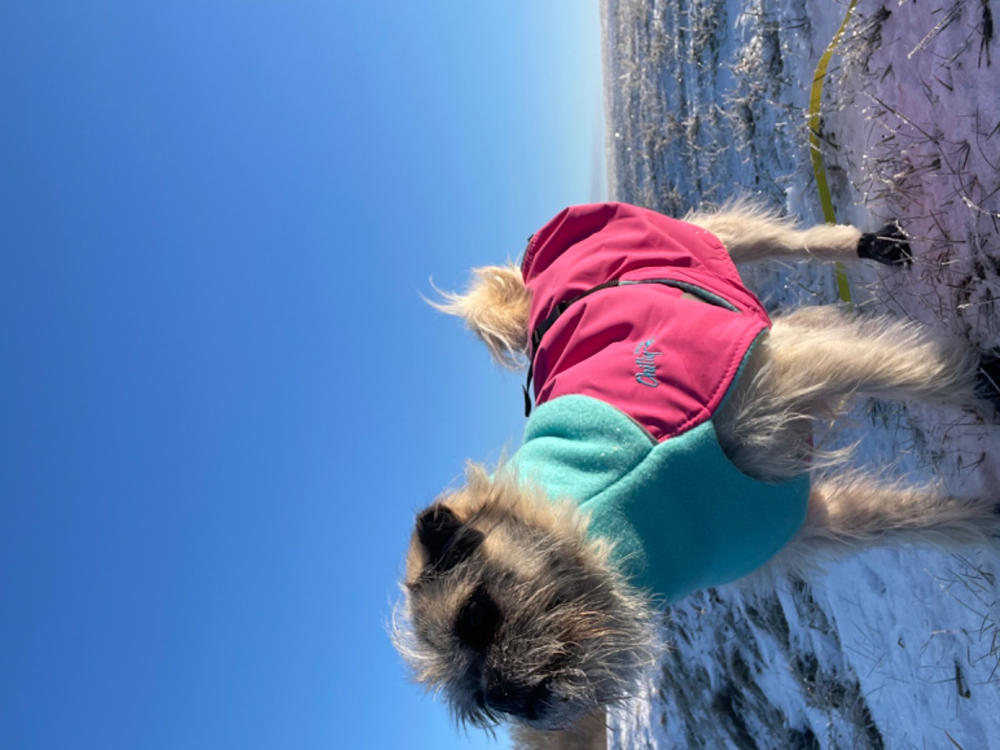 Great White North Special Edition - Candy Floss - Customer Photo From Natasha Burnett