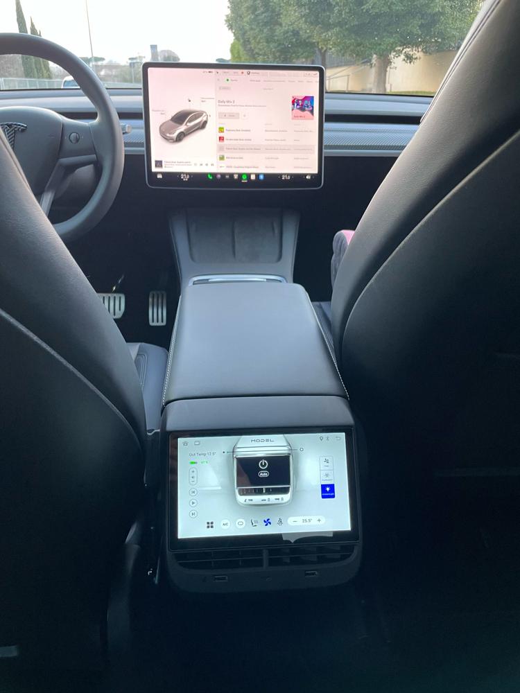Model 3/Y Rear Entertainment and Climate Control Touch Screen Display - Customer Photo From T. Strode