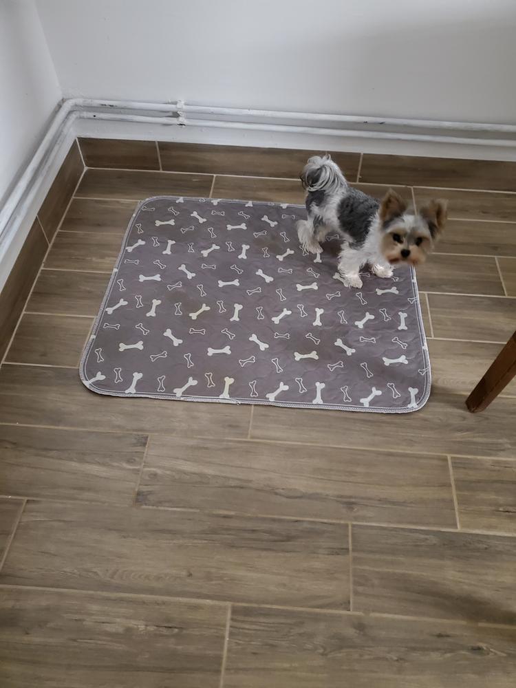 FanaDog Pisiszőnyeg 3 db 70X80 cm - Szürke - Customer Photo From Anikó