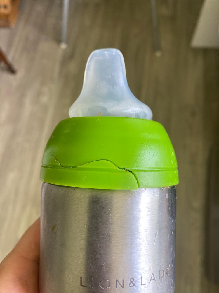 18/8 Stainless Steel Toddler Straw Bottle with Window - 350ml - Customer Photo From Claudia H