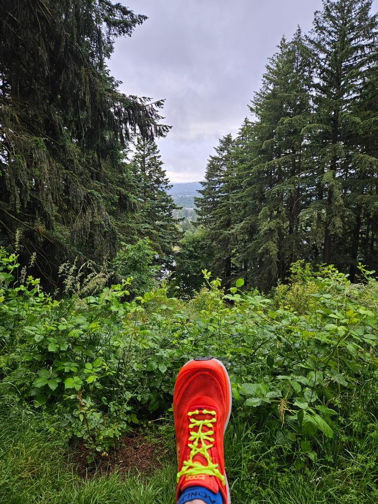 Caterpy Run No-Tie Laces - Customer Photo From David Knapp
