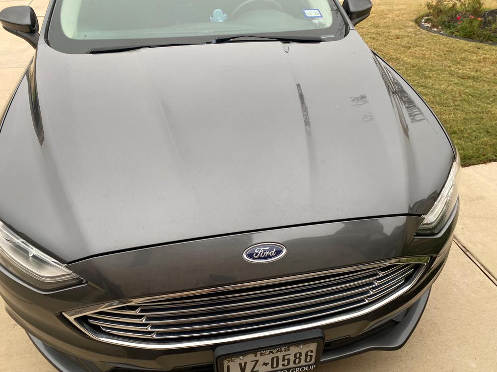 Ford Arctic Green Metallic D8/M6810 Touch Up Paint