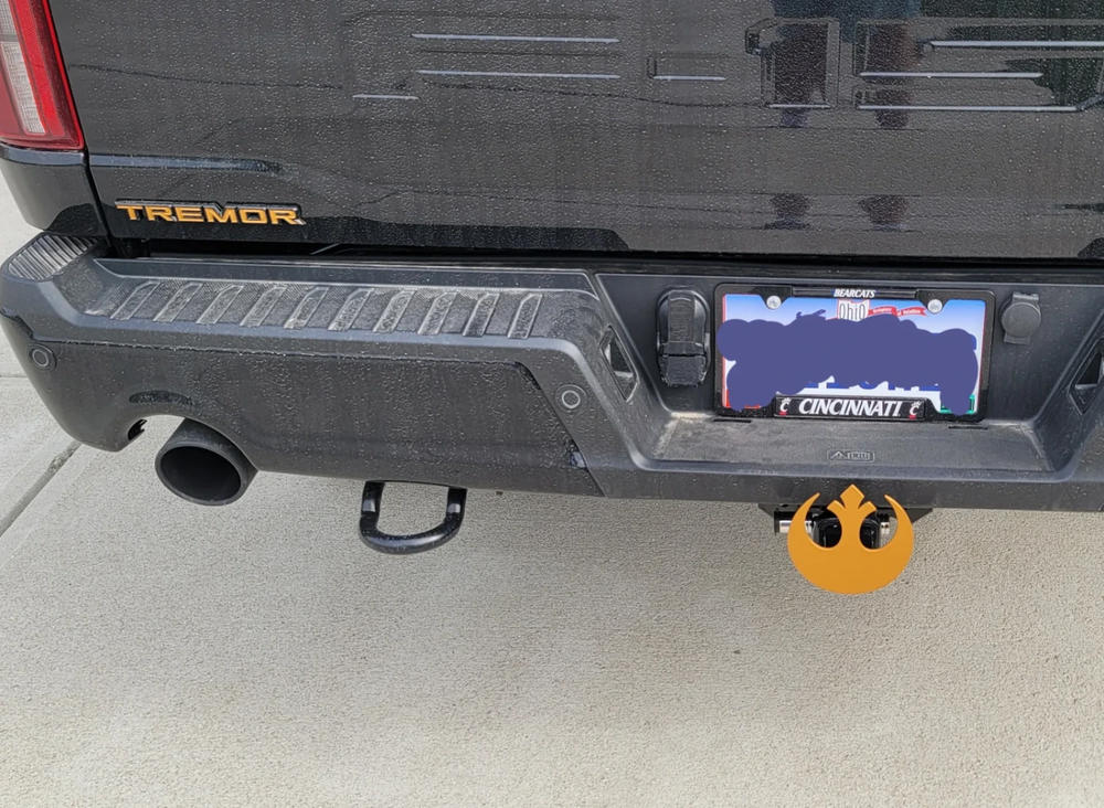 Ford Electric Spice H8 Touch Up Paint - Customer Photo From JOE SCHMIDT