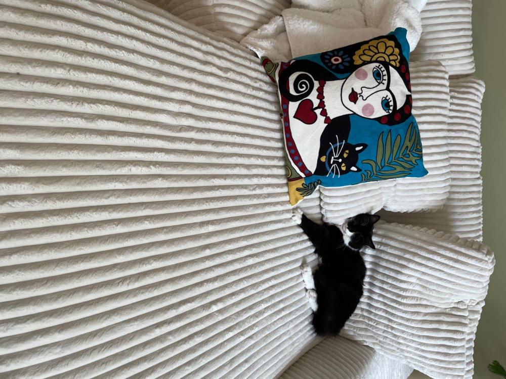 Frida & Cat Embroidered Pillow Cover - Customer Photo From Sue F.