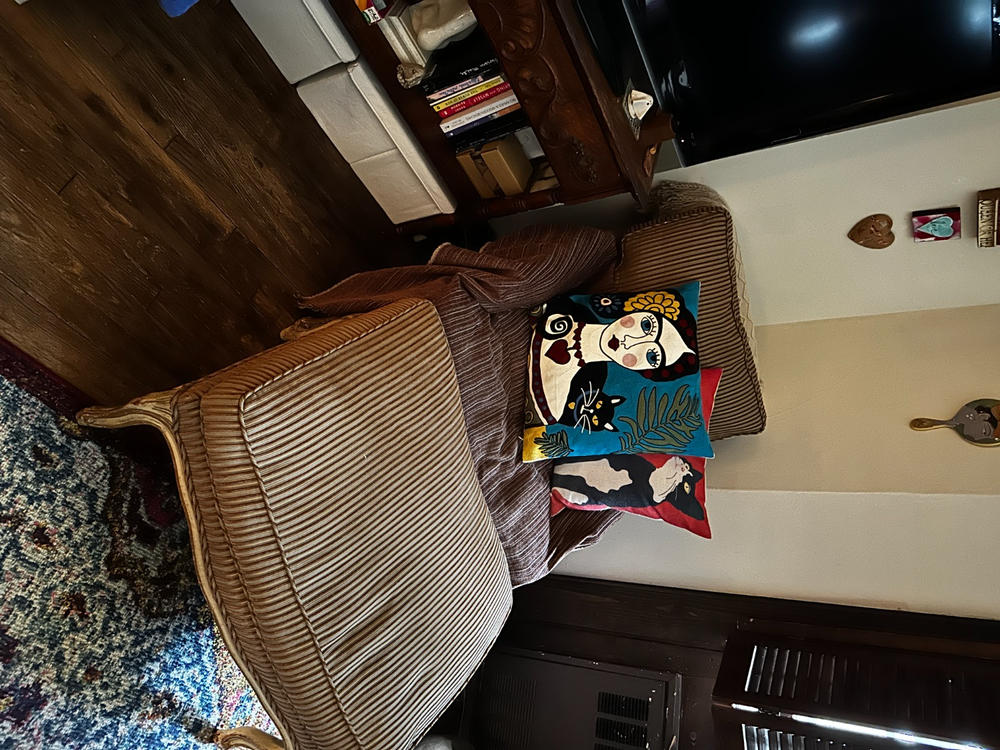 Frida & Cat Embroidered Pillow cover - Customer Photo From Daryl E.