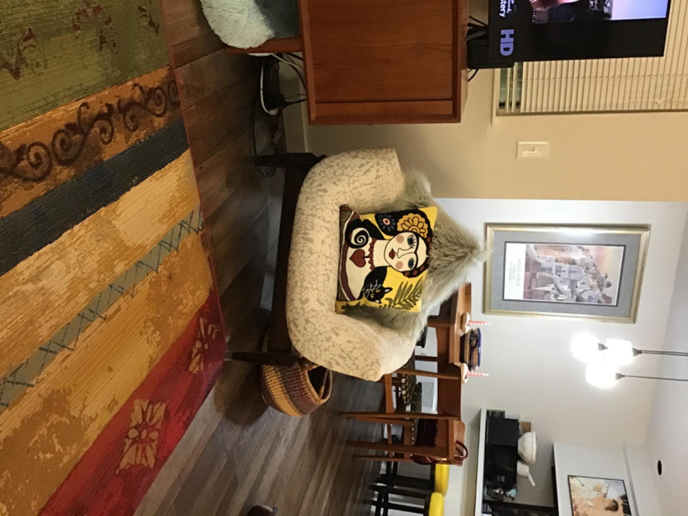 Frida & Cat Yellow Embroidered Pillow Cover - Customer Photo From Conni Curry