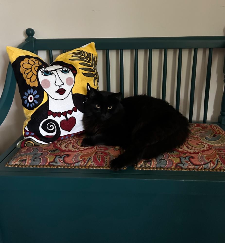 Frida & Cat Yellow Embroidered Pillow Cover - Customer Photo From Claudia A.