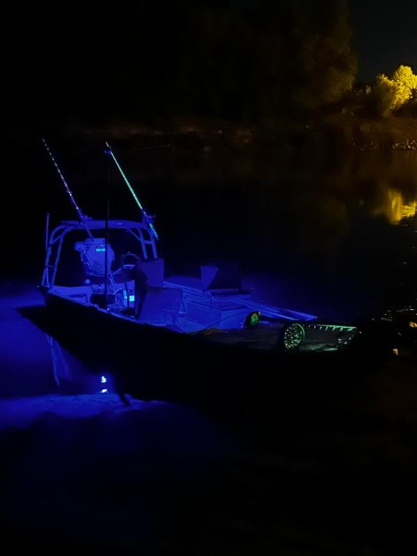 Night Chaser 2 UV Fishing Black Light with Hard Mono Jack