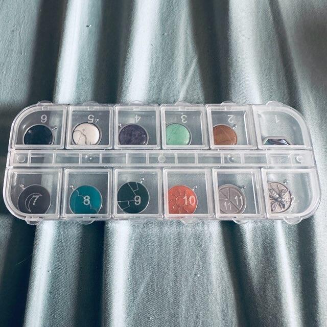 Element Organizer 12-compartment Case - Customer Photo From Ted R.